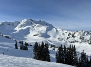 半岛体育app下载地址-包含加拿大滑雪运动员出众表现，摘金夺冠的词条