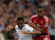 半岛体育链接-南安普顿主场成功守住三分，送给对手连败之势的简单介绍